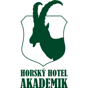 akademik logo NEW 300
